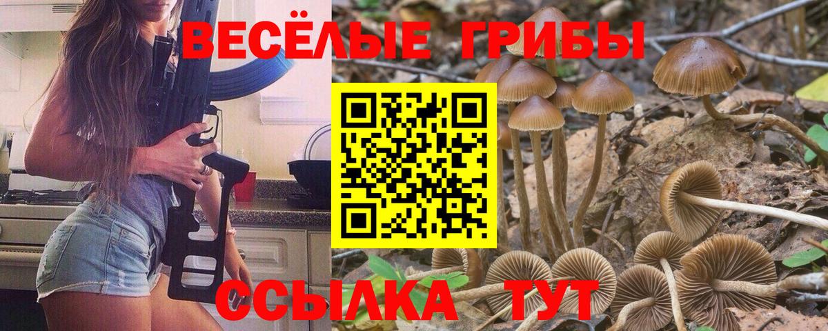 Великие Луки  Галлюциногенные грибы прущие грибы  Вход с VPN 