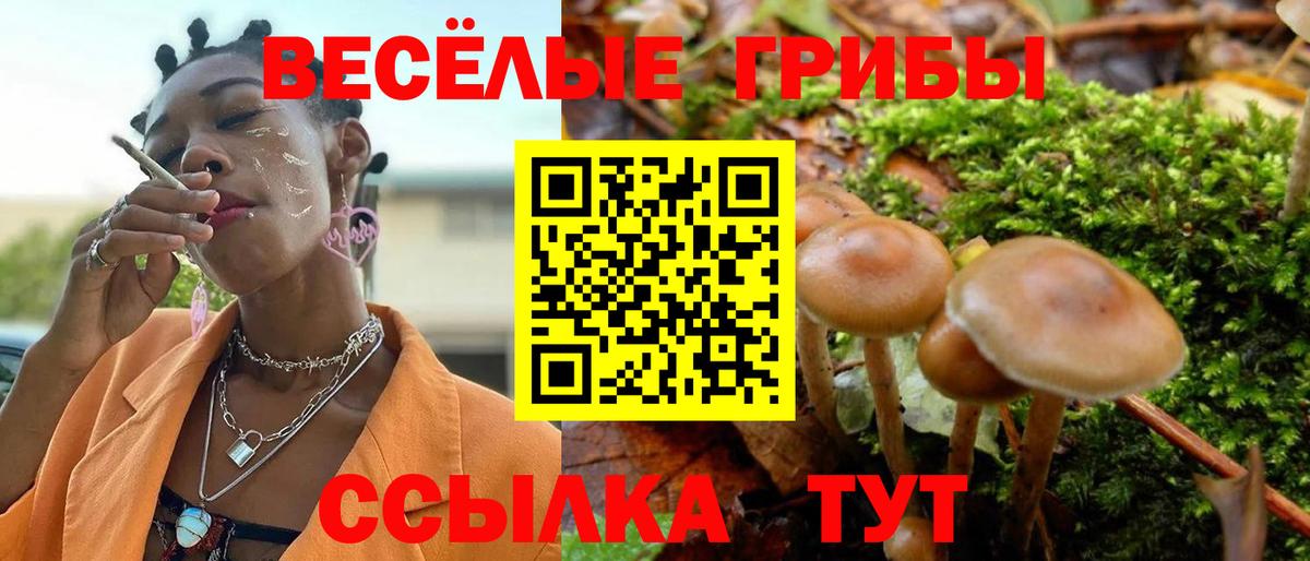Псилоцибиновые грибы мухоморы Великие Луки